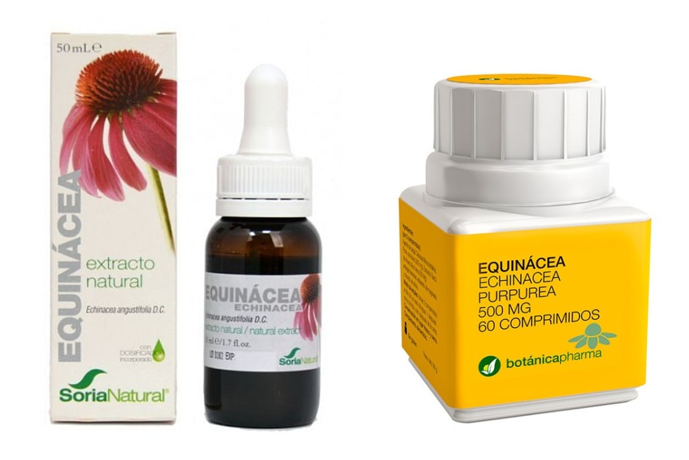 echinacea de farmacia